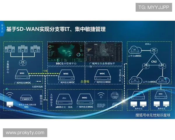 云开国际版实现全球资源整合，推动企业数字化转型的创新驱动力