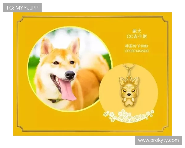 开运在线登录操作流程详解,助你轻松实现每日好运的顺利开启 开运在线登录操作流程详解,助你轻松实现每日好运的顺利开启